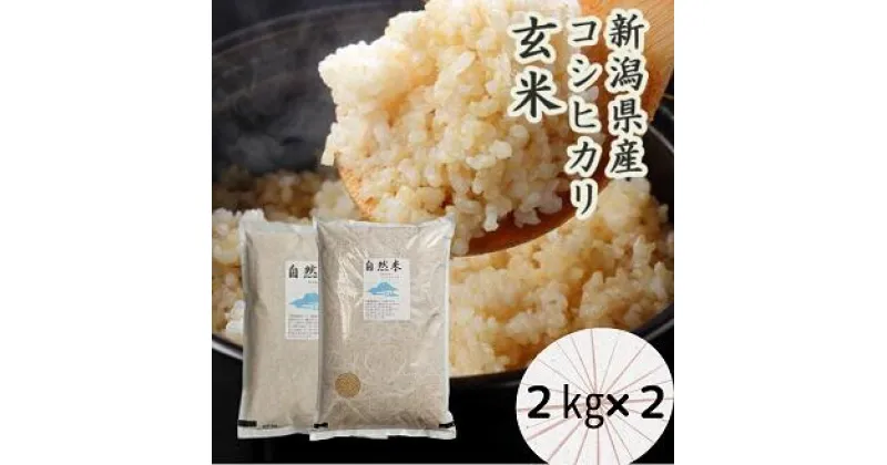 【ふるさと納税】【新米】「米屋のこだわり阿賀野市産」GOZU　自然米玄米2kg×2袋