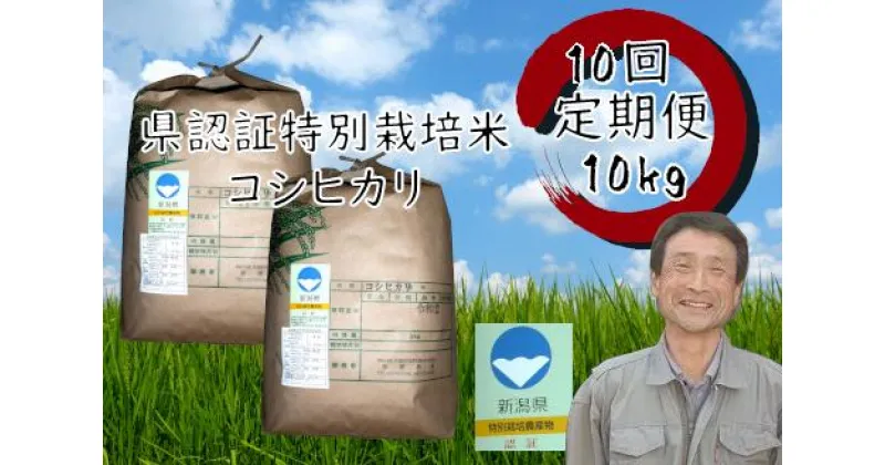 【ふるさと納税】【令和6年産新米予約】【10回定期便】新潟県認証！特別栽培米 コシヒカリ 10kg 9月下旬より順次発送予定