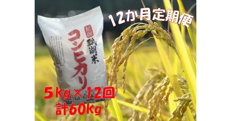 【ふるさと納税】【令和6年産新米】【12ヶ月定期便】新潟産 コシヒカリ「瓢湖米」 5kg×12回