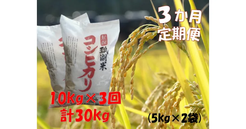 【ふるさと納税】【令和6年産新米】【3ヶ月定期便】新潟産 コシヒカリ「瓢湖米」 10kg×3回