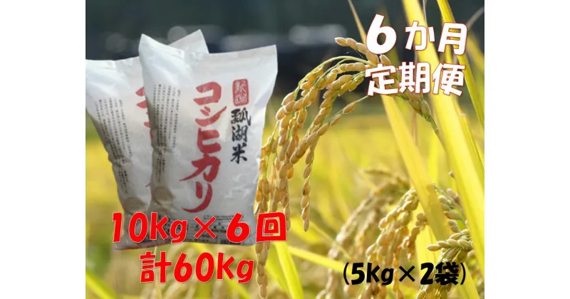 【ふるさと納税】【令和6年産新米】【6ヶ月定期便】新潟産 コシヒカリ「瓢湖米」 10kg×6回