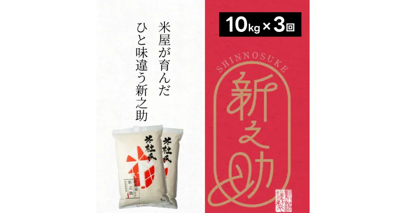 【ふるさと納税】【新米】【3ヶ月定期便】特別栽培米 新之助 10kg (5kg×2袋)×3回 米杜氏 壱成 白米 精米 大粒 つや 光沢 弾力 芳醇