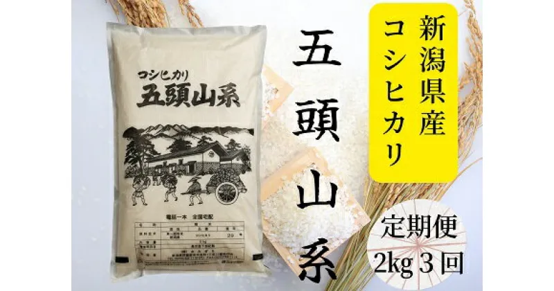 【ふるさと納税】【新米】「米屋のこだわり阿賀野市産」≪3回定期便≫コシヒカリ2kg×3回