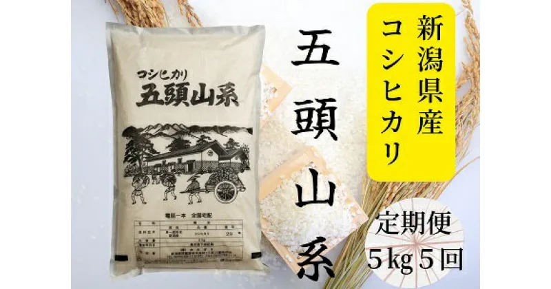 【ふるさと納税】【新米】「米屋のこだわり阿賀野市産」≪5回定期便≫コシヒカリ5kg×5回