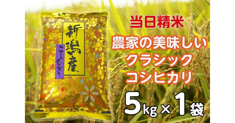 【ふるさと納税】【令和6年産新米】 当日精米! 農家直送 美味しい クラシックコシヒカリ 5kg 精米 白米 水原町農産センター