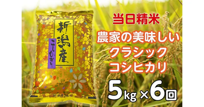 【ふるさと納税】【令和6年産新米】【6ヶ月定期便】 当日精米! 農家直送 美味しい クラシックコシヒカリ 5kg×6回 計30kg 精米 白米 水原町農産センター