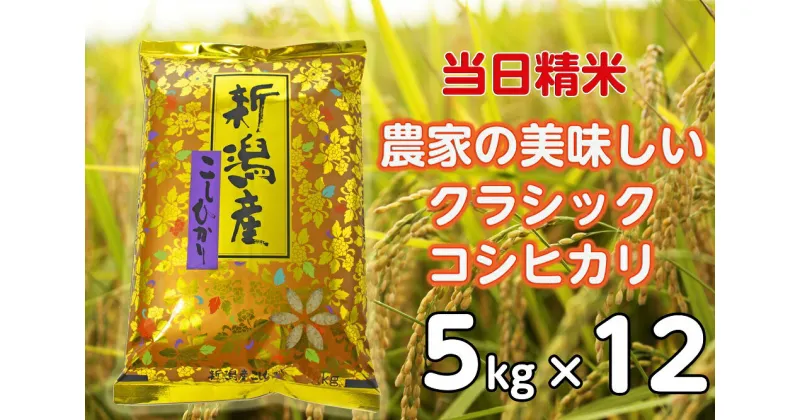 【ふるさと納税】【令和6年産新米】【12ヶ月定期便】 当日精米! 農家直送 美味しい クラシックコシヒカリ 5kg×12回 計60kg 精米 白米 水原町農産センター