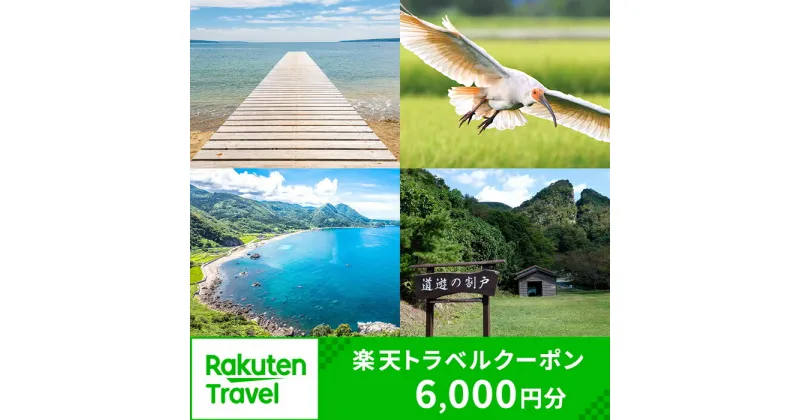 【ふるさと納税】新潟県佐渡市の対象施設で使える楽天トラベルクーポン 寄付額20,000円