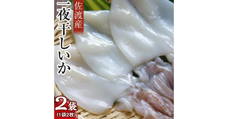 【ふるさと納税】干物 イカ 佐渡産 4枚 ( 1袋2枚 × 2 ) 一夜干しいか | 魚 お魚 さかな 食品 人気 おすすめ 送料無料