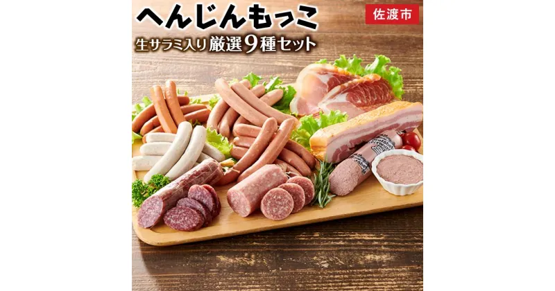 【ふるさと納税】サラミ ソーセージ ベーコン ハム 9種 約1.3kg | 肉 お肉 にく 食品 国産 人気 おすすめ 送料無料 ギフト 詰め合わせ セット ウィンナー ウインナー チョリソー 生ハム 生サラミ ベーコン 食べ比べ へんじんもっこ