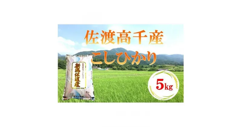 【ふるさと納税】佐渡産こしひかり　5kg／10kg（お届け1回 または 定期便） | 米 こめ コメ 精米 ご飯 ごはん 新潟 佐渡市