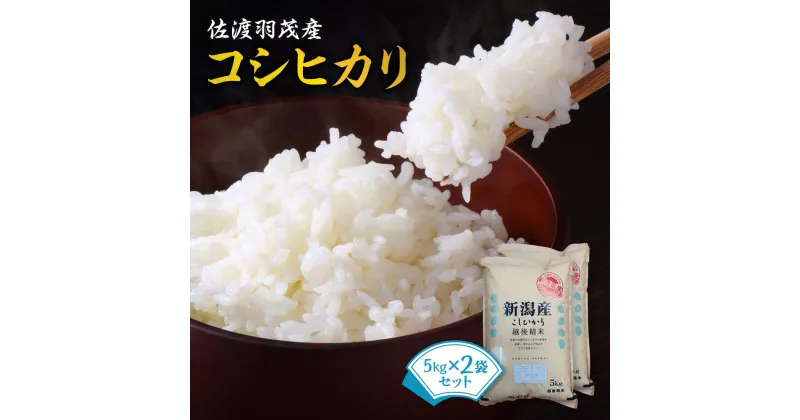 【ふるさと納税】佐渡羽茂産コシヒカリ　5kg×2袋セット／5kg×4袋セット