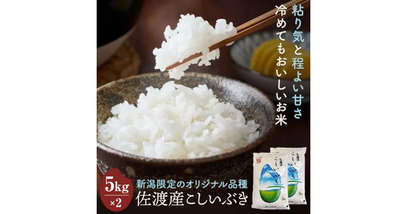 【ふるさと納税】米 佐渡産 こしいぶき ( 5kg × 2 ) 【令和6年産】 | お米 こめ 白米 食品 人気 おすすめ 送料無料