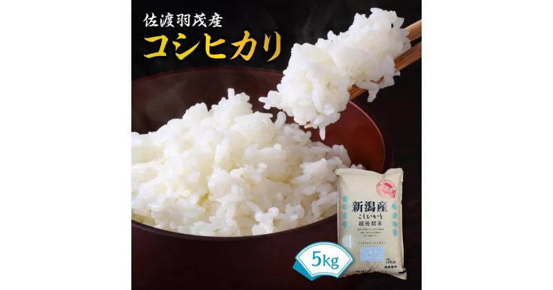 【ふるさと納税】【令和6年度産新米】佐渡羽茂産コシヒカリ 5kg | お米 こめ 白米 食品 人気 おすすめ 送料無料