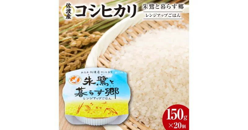 【ふるさと納税】佐渡産コシヒカリ朱鷺と暮らす郷　レンジアップごはん　150g×20個 | お米 こめ 白米 食品 加工食品 人気 おすすめ 送料無料