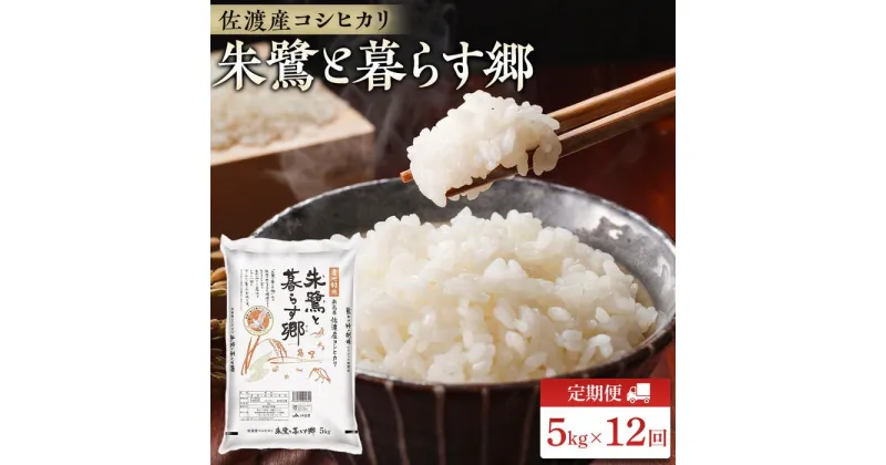 【ふるさと納税】米 定期便 朱鷺と暮らす郷 佐渡産 コシヒカリ ( 5kg × 全12回 ) 【令和6年産】 | お米 こめ 白米 食品 人気 おすすめ 送料無料 お楽しみ