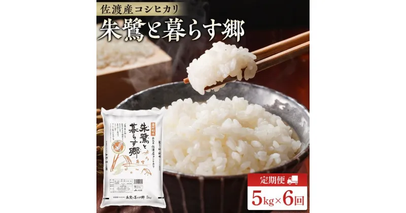 【ふるさと納税】米 定期便 朱鷺と暮らす郷 佐渡産 コシヒカリ ( 5kg × 全6回 ) 【令和6年産】 | お米 こめ 白米 食品 人気 おすすめ 送料無料 お楽しみ