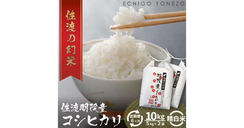 【ふるさと納税】[定期便] 羽茂産コシヒカリ 白米 10kg 6カ月 | お米 こめ 白米 食品 人気 おすすめ 送料無料