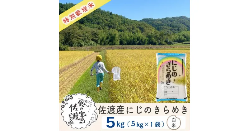 【ふるさと納税】【新米・先行予約】佐渡島産 にじのきらめき 白米5Kg×1袋 特別栽培米 令和6年産 | お米 こめ 白米 食品 人気 おすすめ 送料無料