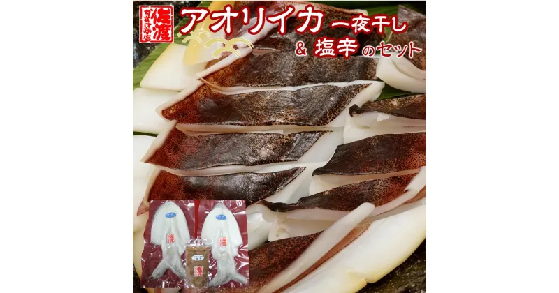 【ふるさと納税】佐渡産　アオリイカ一夜干し2～3袋&塩辛1袋のセット | 魚介類 水産 食品 人気 おすすめ 送料無料