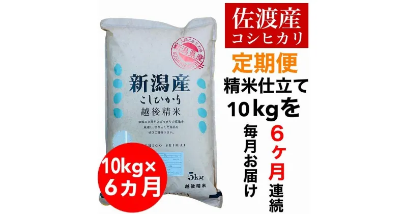 【ふるさと納税】【令和6年度産新米】【毎月定期便】佐渡羽茂産コシヒカリ 5kg×2袋(精米)　全6回