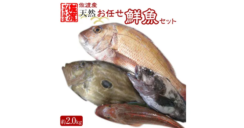 【ふるさと納税】佐渡産 天然お任せ鮮魚セット 2kg | 魚 お魚 さかな 食品 人気 おすすめ 送料無料