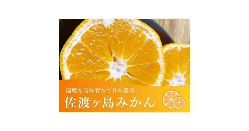 【ふるさと納税】佐渡みかん（3S～2Lサイズ）約5kg | フルーツ 果物 くだもの 食品 人気 おすすめ 送料無料