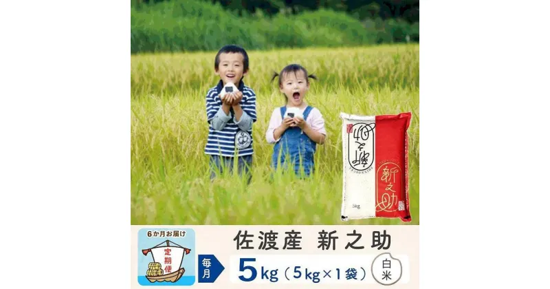 【ふるさと納税】【6か月定期便】佐渡島産新之助 白米5Kg 令和6年産 | お米 こめ 白米 食品 人気 おすすめ 送料無料