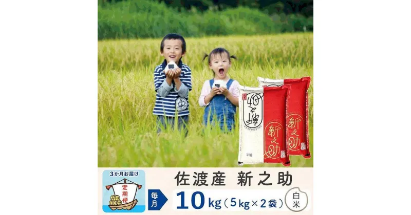 【ふるさと納税】【3か月定期便】佐渡島産新之助 白米10Kg 令和6年産 | お米 こめ 白米 食品 人気 おすすめ 送料無料