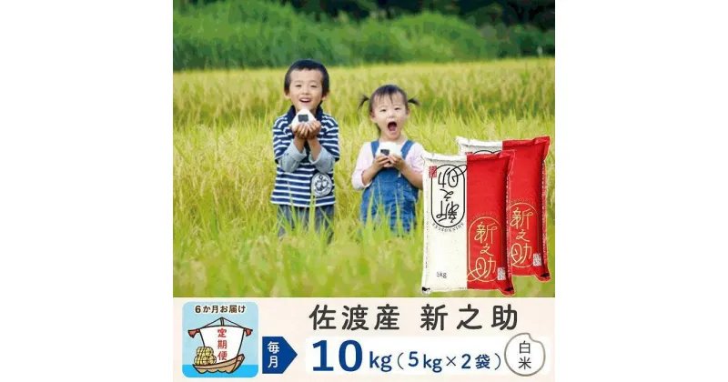 【ふるさと納税】【6か月定期便】佐渡島産新之助 白米10Kg 令和6年産 | お米 こめ 白米 食品 人気 おすすめ 送料無料