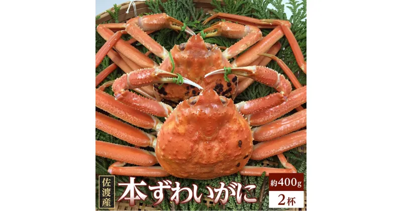 【ふるさと納税】佐渡産 ずわいがに 400g 2杯 | 蟹 魚介類 水産 食品 人気 おすすめ 送料無料