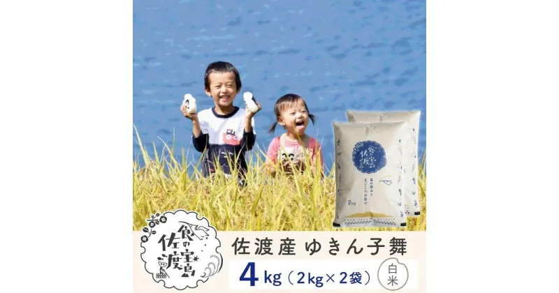 【ふるさと納税】【新米】佐渡島産 ゆきん子舞 白米 4Kg（2kg×2袋） 令和6年産 | お米 こめ 白米 食品 人気 おすすめ 送料無料