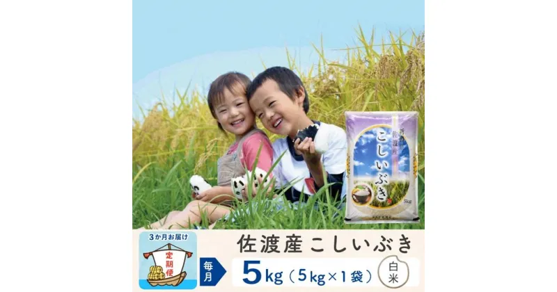 【ふるさと納税】【3か月定期便】佐渡島産 こしいぶき 白米5Kg 令和6年産 | お米 こめ 白米 食品 人気 おすすめ 送料無料