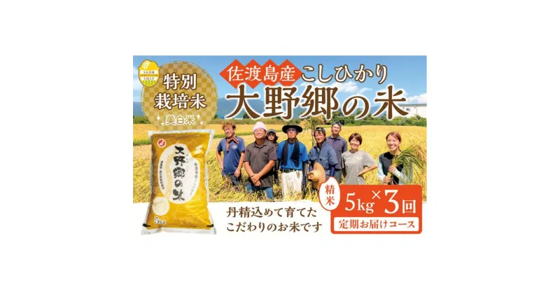 【ふるさと納税】【令和6年産新米】佐渡島産 特別栽培米こしひかり「大野郷の米」精米5kg×3回 定期お届けコース | お米 こめ 白米 食品 人気 おすすめ 送料無料