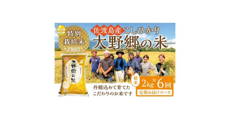 【ふるさと納税】【令和6年産新米】佐渡島産 特別栽培米こしひかり「大野郷の米」精米2kg×6回 定期お届けコース | お米 こめ 白米 食品 人気 おすすめ 送料無料