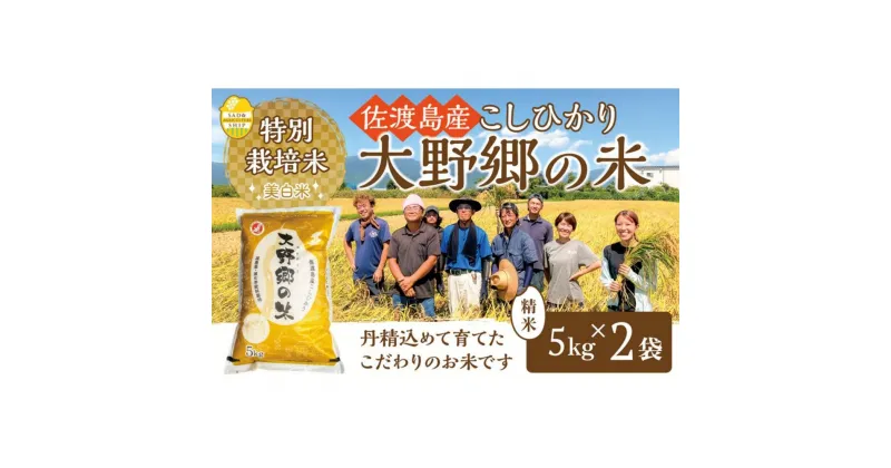 【ふるさと納税】【令和6年産新米】佐渡島産 特別栽培米こしひかり「大野郷の米」精米5kg×2袋 | お米 こめ 白米 食品 人気 おすすめ 送料無料