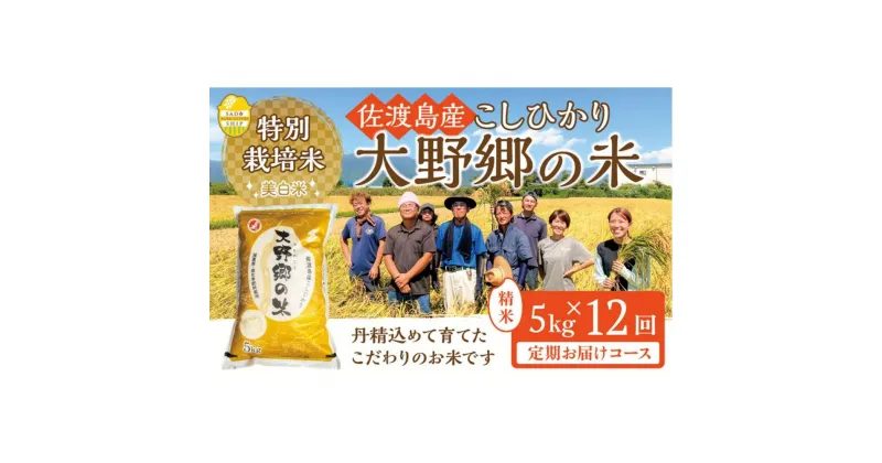 【ふるさと納税】【令和6年産新米】佐渡島産 特別栽培米こしひかり「大野郷の米」精米5kg×12回 定期お届けコース | お米 こめ 白米 食品 人気 おすすめ 送料無料