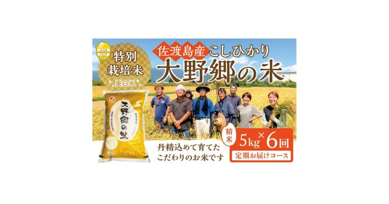 【ふるさと納税】【令和6年産新米】佐渡島産 特別栽培米こしひかり「大野郷の米」精米5kg×6回 定期お届けコース | お米 こめ 白米 食品 人気 おすすめ 送料無料