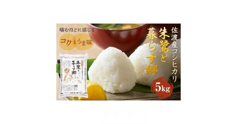 【ふるさと納税】令和6年産 佐渡産コシヒカリ米「朱鷺と暮らす郷」5kg 佐渡・今井茂助商店おすすめ