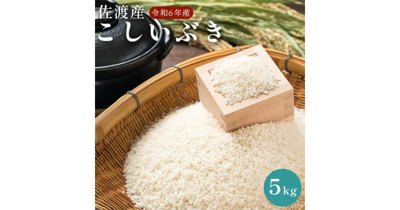 【ふるさと納税】佐渡島産　こしいぶき　5kg　令和6年産 | お米 こめ 白米 食品 人気 おすすめ 送料無料