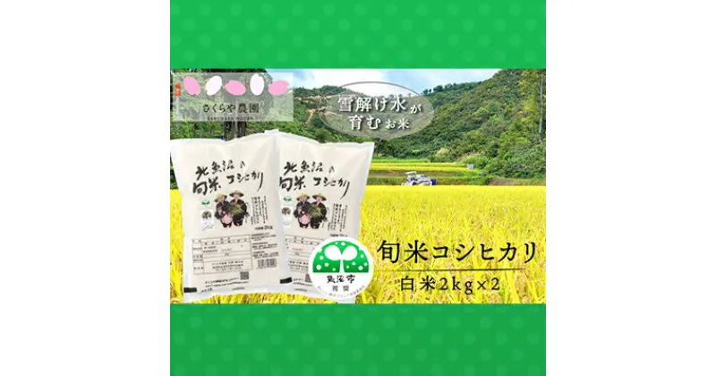 【ふるさと納税】令和6年産 北魚沼の旬米コシヒカリ【精米】2kg×2　お米・コシヒカリ　お届け：寄附確認後、随時発送