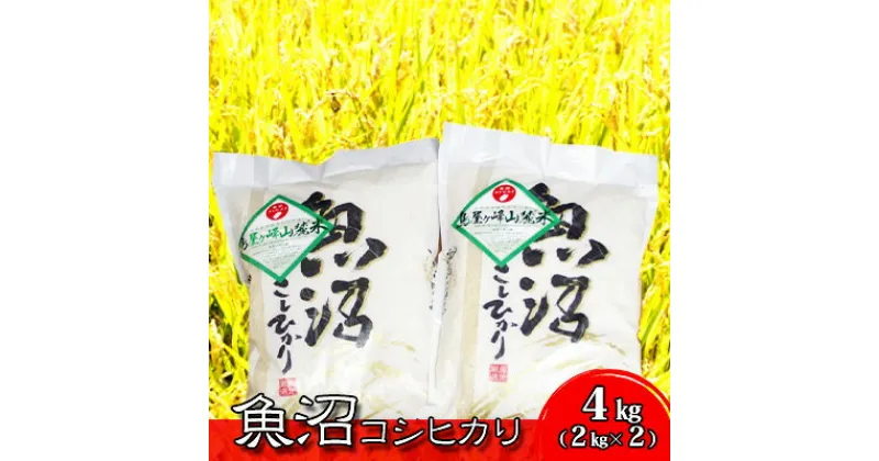 【ふるさと納税】令和6年産 魚沼コシヒカリ　鳥屋ヶ峰山麓米(精米)4kg(2kg×2)　お米・コシヒカリ　お届け：寄附確認後、随時発送