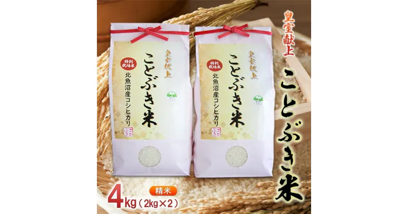 【ふるさと納税】令和6年産 皇室献上　ことぶき米（精米）4kg（2kg×2）　お米　お届け：寄附入金確認後、随時発送