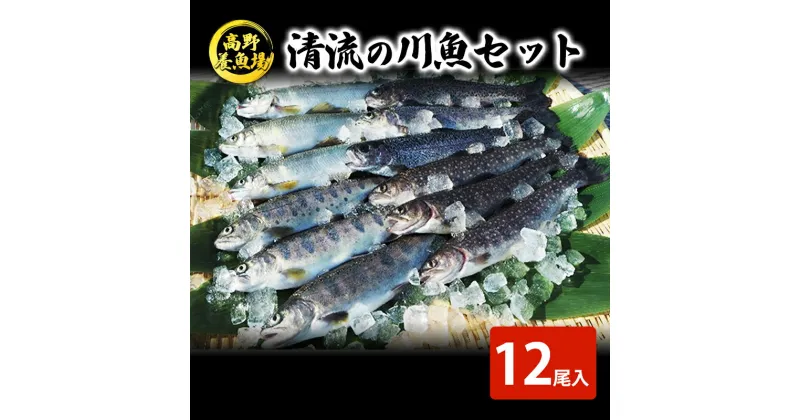 【ふるさと納税】清流の川魚 セット 12尾入 （ヤマメ・イワナ・ニジマス・アユ） （ 魚 12尾 ヤマメ イワナ ニジマス アユ セット 山女 岩魚 虹ます にじます 虹鱒 鮎 マス ます 鱒 魚 川魚 小分け 海鮮 魚介 魚介類 海鮮セット 魚沼 ）　 魚沼市 2023年人気返礼品