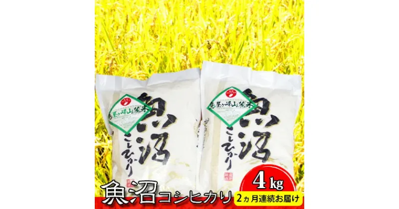 【ふるさと納税】魚沼コシヒカリ・鳥屋ヶ峰山麓米（精米4kg）2ヶ月連続お届け　定期便・お米・コシヒカリ　お届け：寄附確認月の翌月より発送