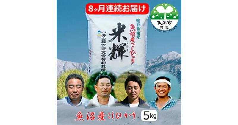 【ふるさと納税】新潟県認証【特別栽培米】魚沼産こしひかり　5kg　8ヶ月連続お届け　定期便・お米・コシヒカリ　お届け：寄附入金月の翌月より発送