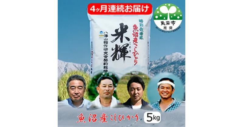 【ふるさと納税】新潟県認証【特別栽培米】魚沼産こしひかり　5kg　4ヶ月連続お届け　定期便・お米・コシヒカリ　お届け：寄附入金月の翌月より発送