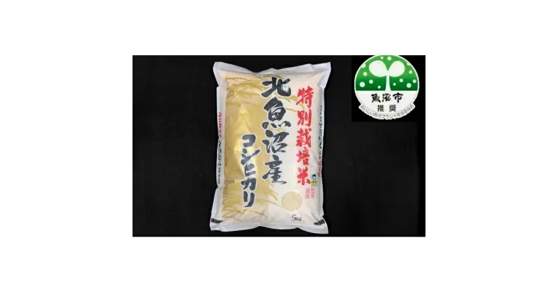 【ふるさと納税】令和6年産【特別栽培米】北魚沼産コシヒカリ（精米）5kg　お米・コシヒカリ　お届け：10月より随時発送