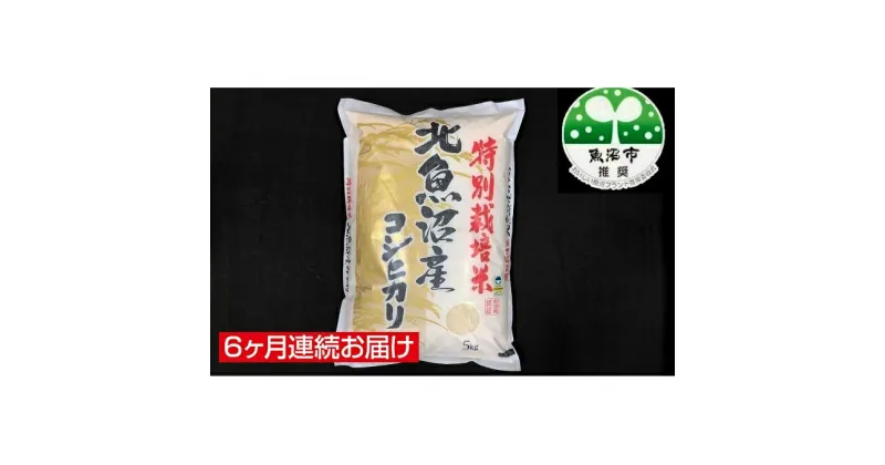 【ふるさと納税】【特別栽培米】北魚沼産コシヒカリ（精米）5kg　6ヶ月連続お届け　定期便・お米・コシヒカリ　お届け：寄附入金月の翌月から発送