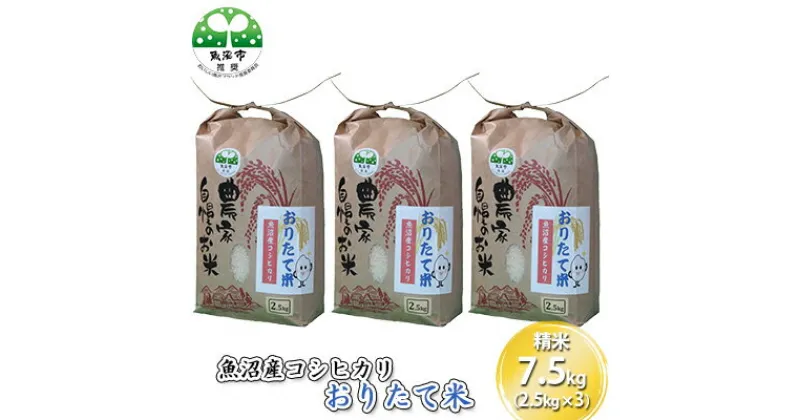 【ふるさと納税】令和6年産 魚沼産コシヒカリ おりたて米 （精米）7.5kg（2.5kg×3）　お米・コシヒカリ・お米　お届け：寄附入金確認後、随時発送